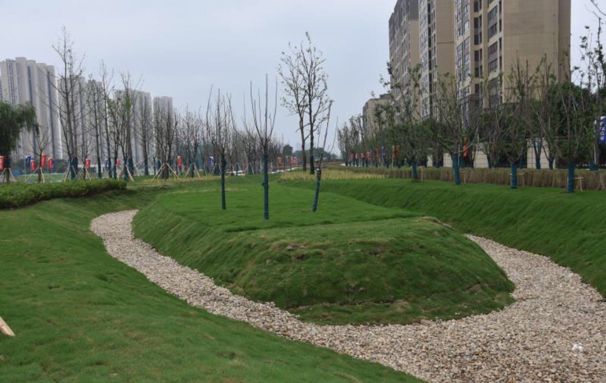 南京江宁西餐_南京西餐排名_南京好吃的西餐