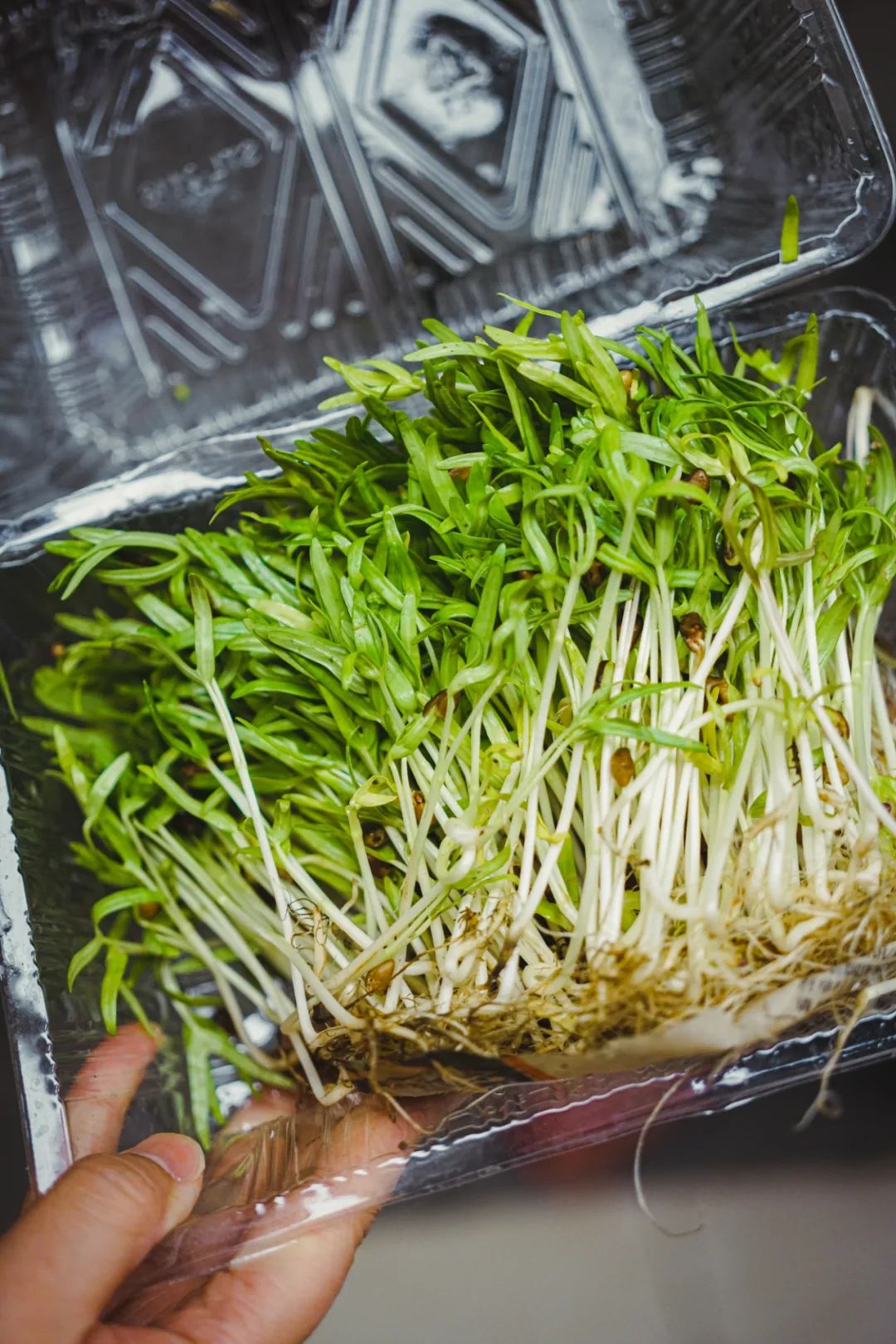 南京西餐厅_南京江宁西餐_南京好吃的西餐