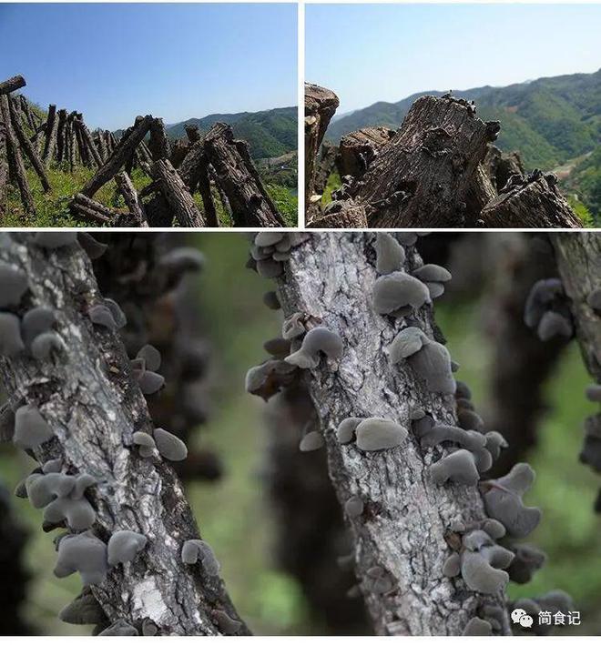 湖北恩施舌尖上的美食_湖北恩施美食_湖北恩施名吃