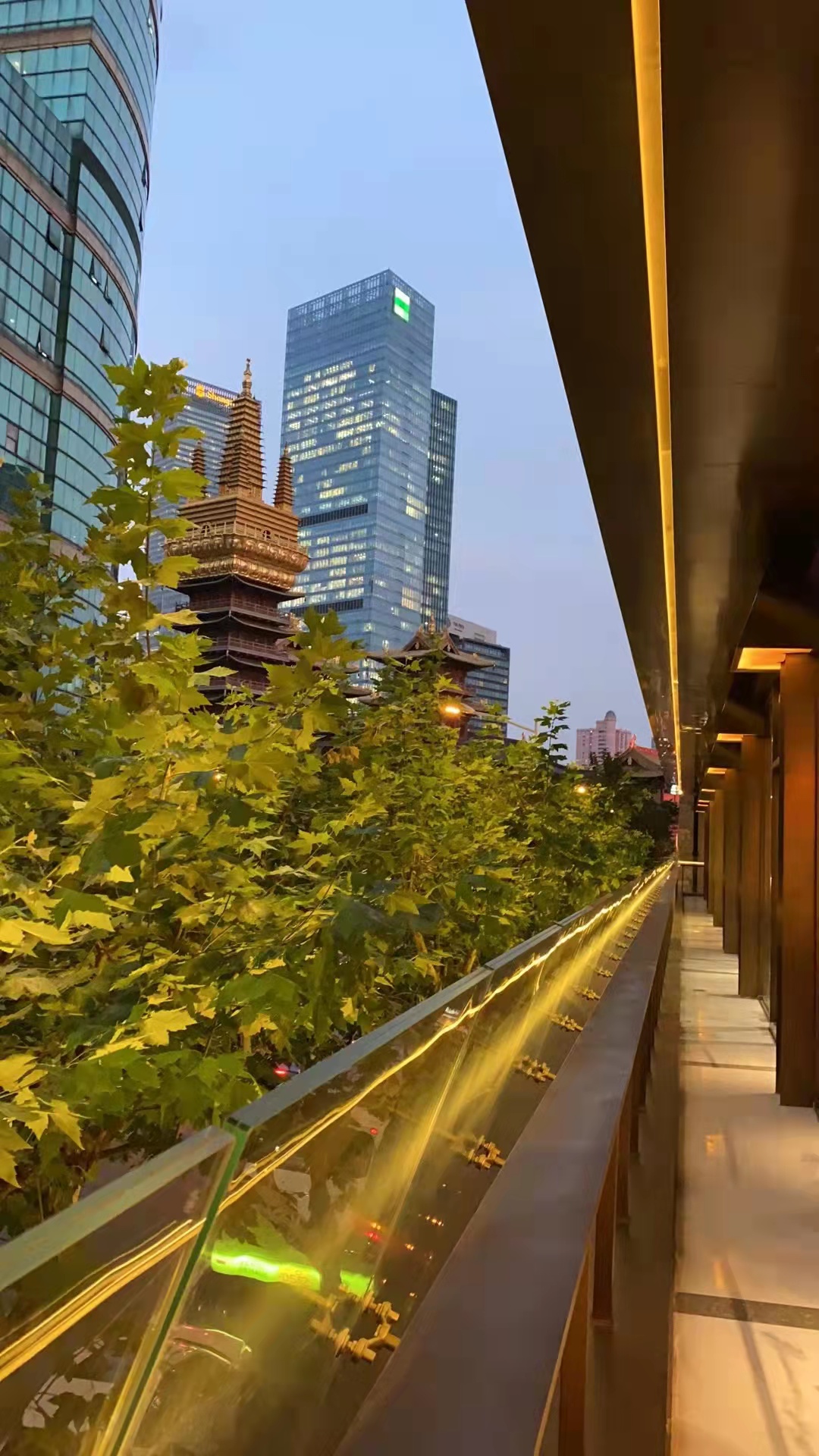 静安寺斋菜_静安寺美食港式茶餐厅_静安寺西餐