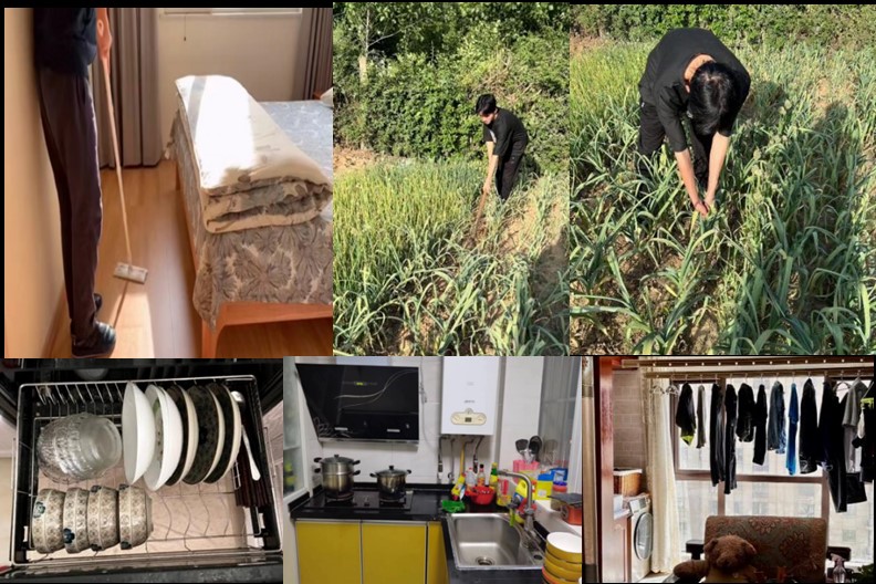 劳动技能体会作文_日常生活劳动技能的体会_生活技能劳动体会范文