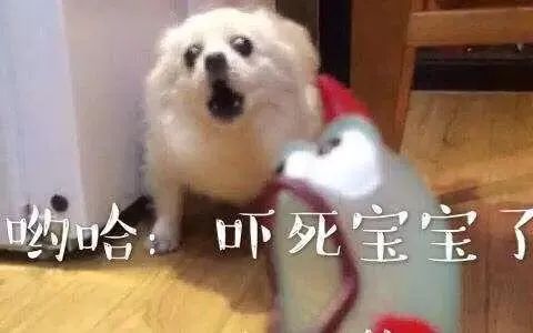 粗点心战争出现的粗点心_让点心_点心让不让带上飞机
