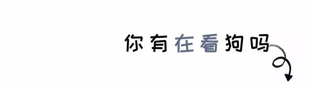 粗点心战争出现的粗点心_让点心_点心让不让带上飞机