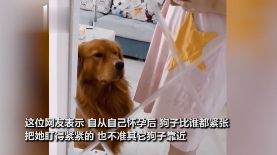 点心让不让带上飞机_让点心_粗点心战争出现的粗点心