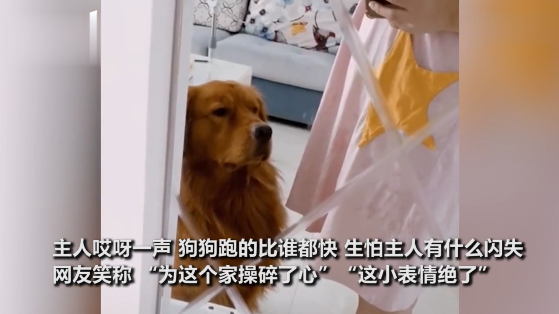 粗点心战争出现的粗点心_让点心_点心让不让带上飞机