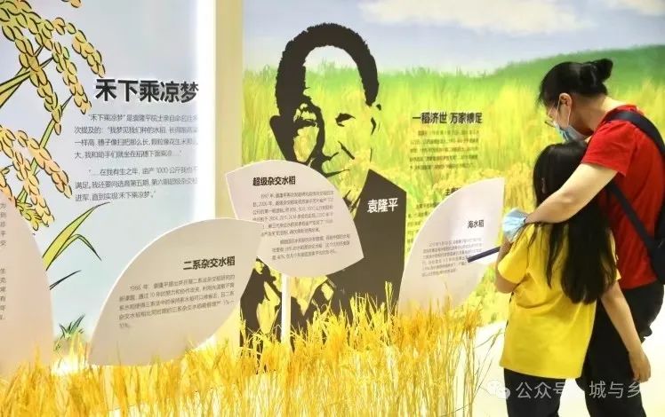 吐鲁番生活方式_吐鲁番生活热么_吐鲁番民居体现的生态精神