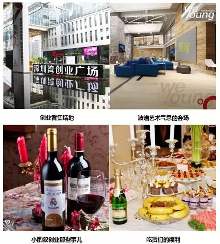 媒体创意策划案例_创业与策划自媒体资讯_策划资讯创业媒体是什么