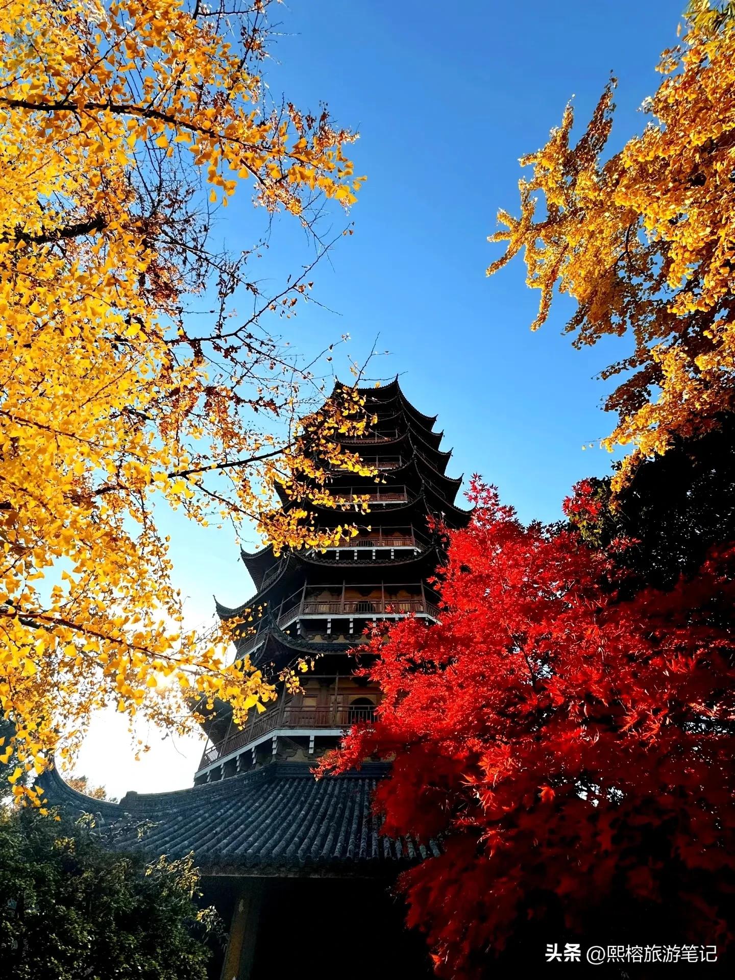苏州拙政园美在哪里_苏州拙政园里有吃的吗_苏州拙政园美食