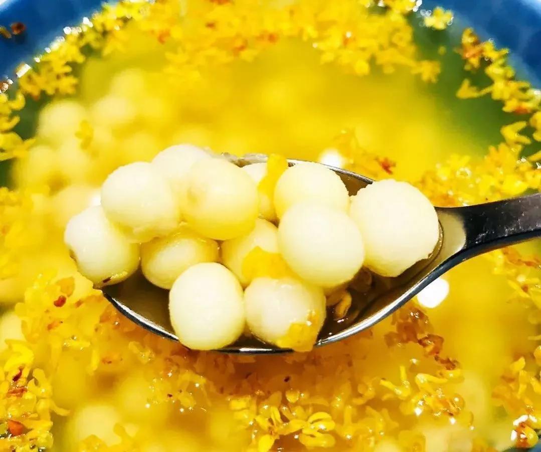 苏州拙政园美在哪里_苏州拙政园美食攻略_苏州拙政园美食
