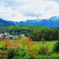 苏州拙政园美食_拙政园特色美食_鉴赏苏州拙政园