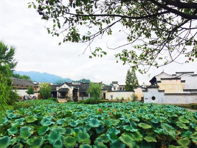 拙政园特色美食_苏州拙政园美食_鉴赏苏州拙政园
