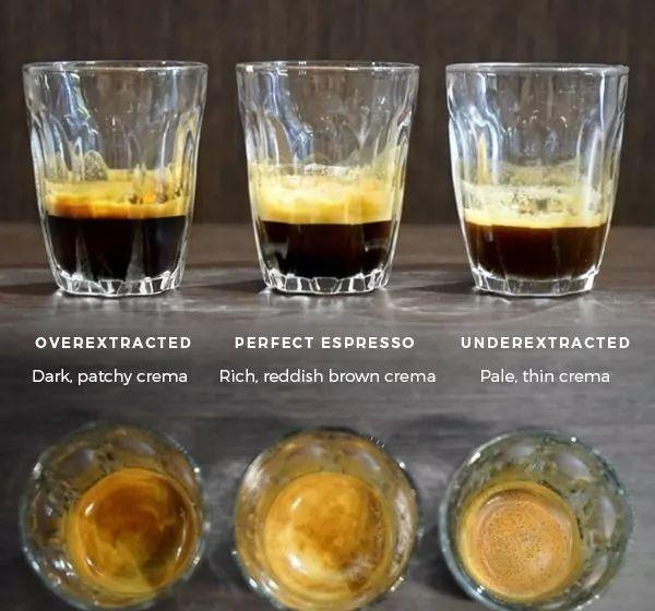 如何判断Espresso意式浓缩咖啡的萃取品质？