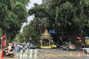 雨林咖啡一盒多少钱_雨林咖啡馆_雨林咖啡厅