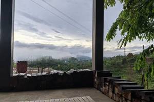 雨林咖啡厅_雨林咖啡馆_雨林咖啡一盒多少钱