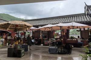雨林咖啡馆_雨林咖啡一盒多少钱_雨林咖啡厅