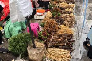 雨林咖啡馆_雨林咖啡厅_雨林咖啡一盒多少钱