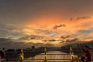 雨林咖啡一盒多少钱_雨林咖啡馆_雨林咖啡厅