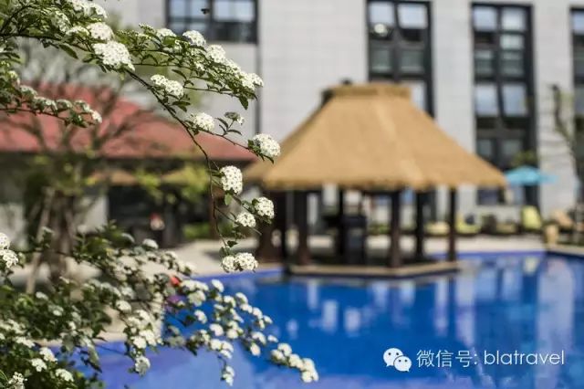 余姚上岛咖啡_余姚山上咖啡馆_余姚咖啡厅哪些有包厢