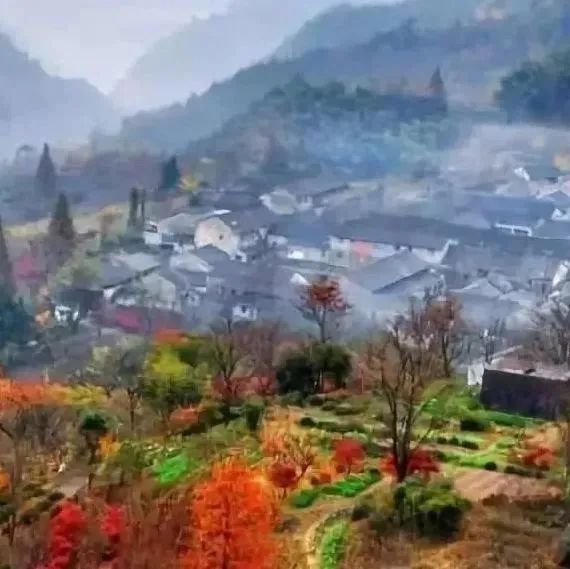 余姚私密性高的咖啡馆_余姚网红咖啡店_余姚山上咖啡馆