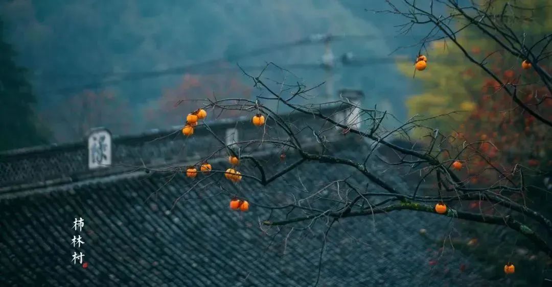 余姚网红咖啡店_余姚山上咖啡馆_余姚私密性高的咖啡馆
