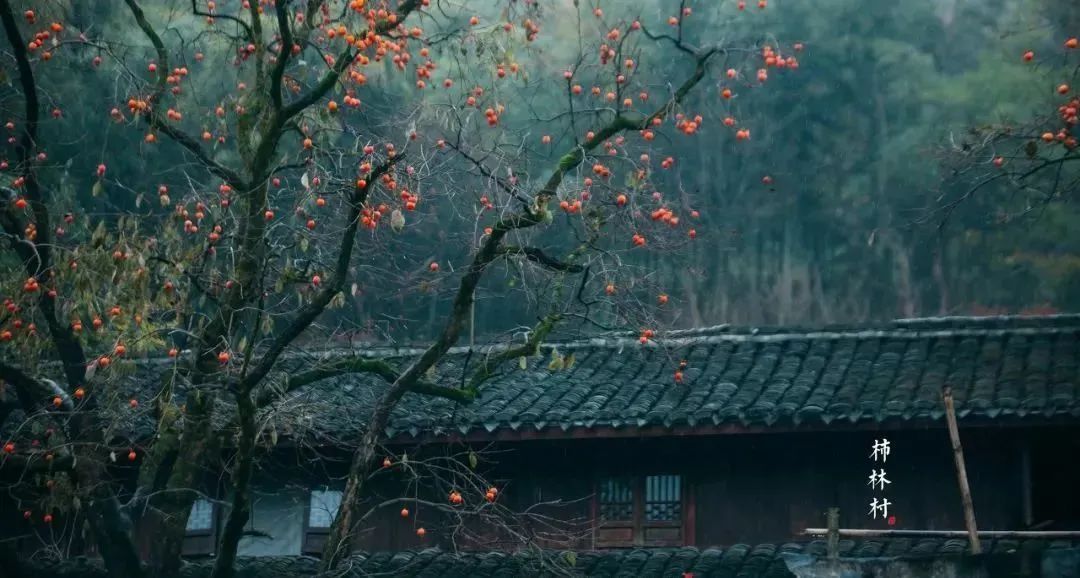 余姚网红咖啡店_余姚私密性高的咖啡馆_余姚山上咖啡馆