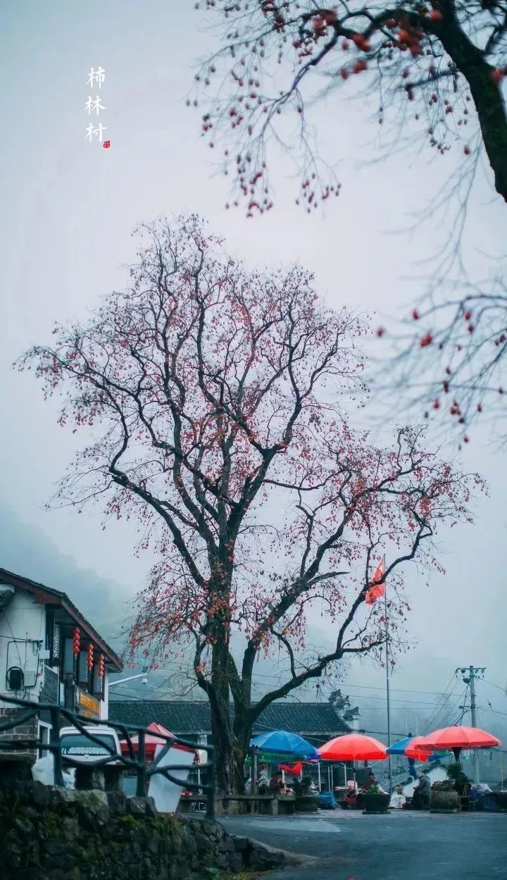 余姚私密性高的咖啡馆_余姚网红咖啡店_余姚山上咖啡馆