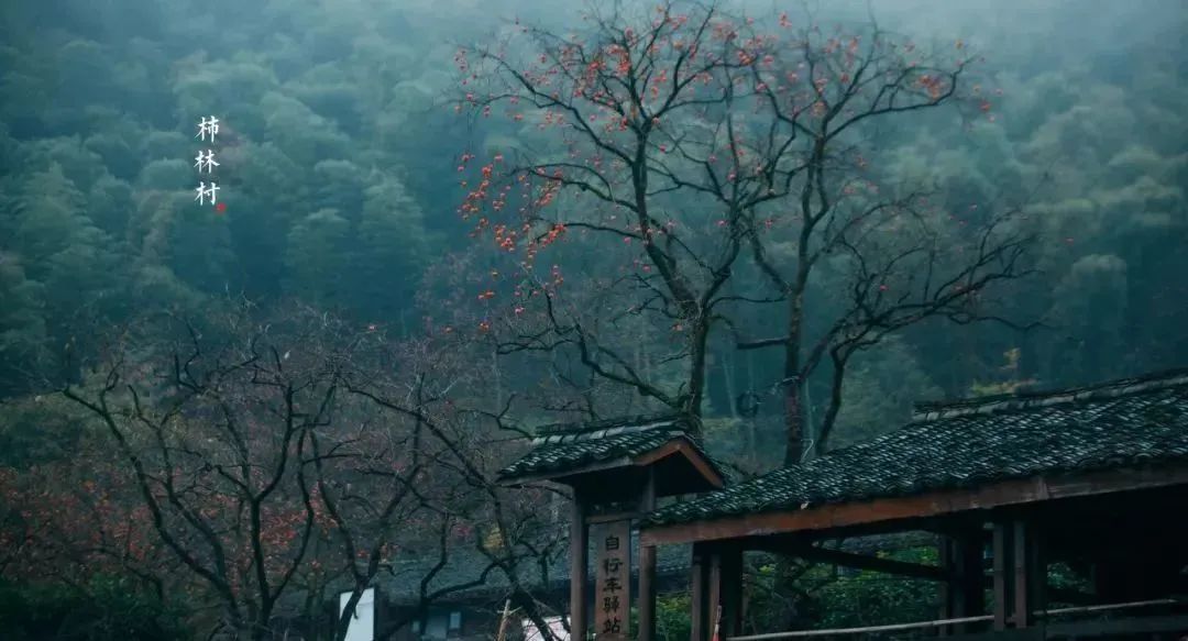 余姚私密性高的咖啡馆_余姚网红咖啡店_余姚山上咖啡馆