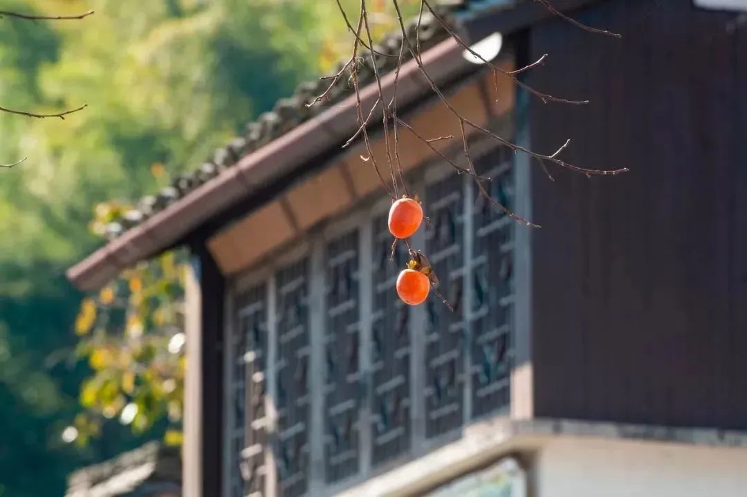 余姚私密性高的咖啡馆_余姚网红咖啡店_余姚山上咖啡馆