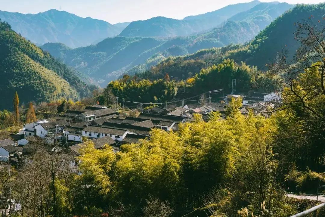 余姚私密性高的咖啡馆_余姚山上咖啡馆_余姚网红咖啡店