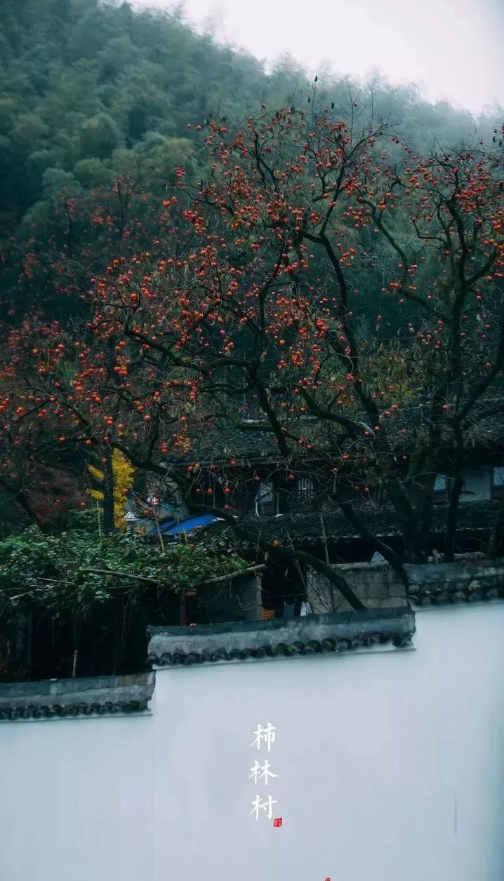 余姚私密性高的咖啡馆_余姚网红咖啡店_余姚山上咖啡馆
