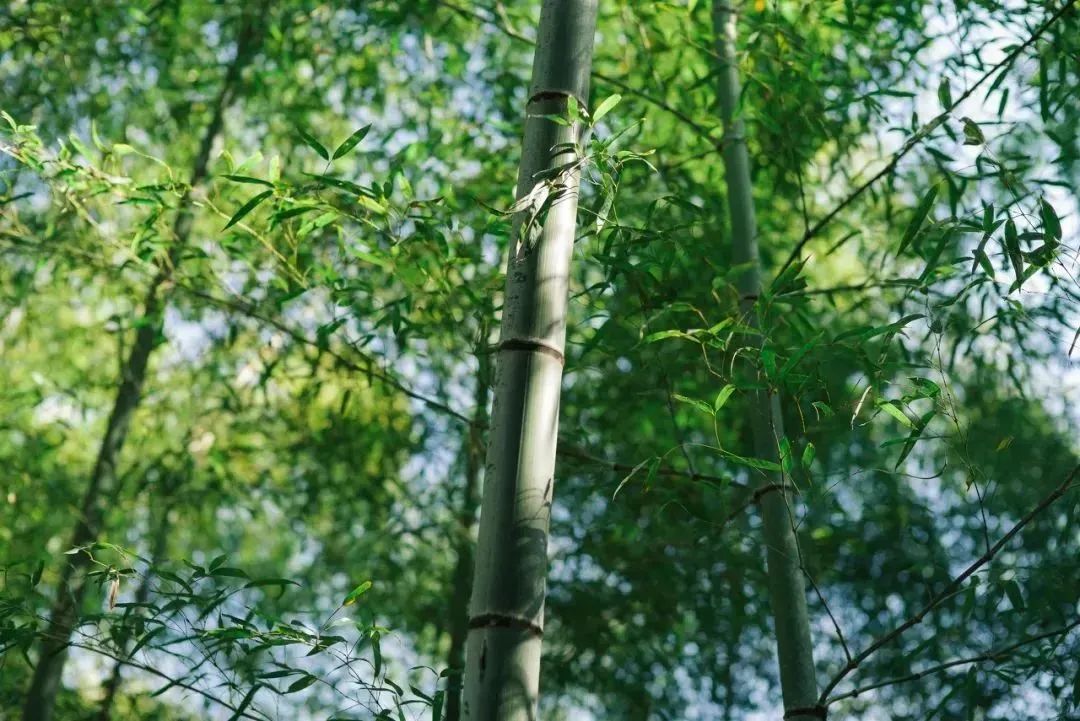 余姚山上咖啡馆_余姚私密性高的咖啡馆_余姚网红咖啡店