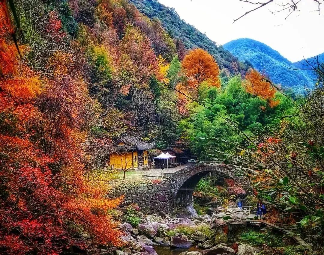 余姚私密性高的咖啡馆_余姚山上咖啡馆_余姚网红咖啡店