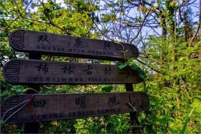 余姚山上咖啡馆_余姚网红咖啡店_余姚私密性高的咖啡馆