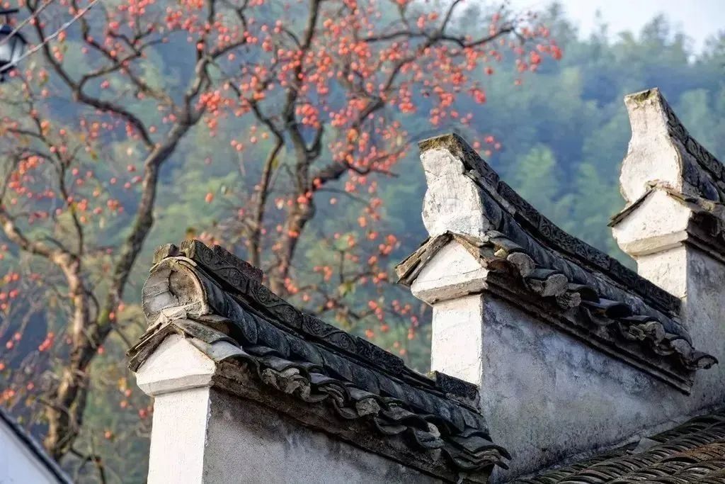 余姚山上咖啡馆_余姚网红咖啡店_余姚私密性高的咖啡馆