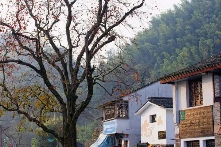 余姚网红咖啡店_余姚山上咖啡馆_余姚私密性高的咖啡馆