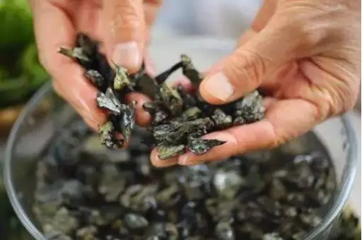 西餐里的菇_西餐蘑菇_西餐中用的菌菇