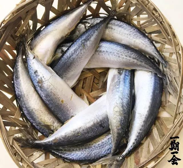 潮汕炒鱿鱼做法_潮汕炒鲜鱿鱼_鱿鱼卷怎么炒好吃潮汕美食