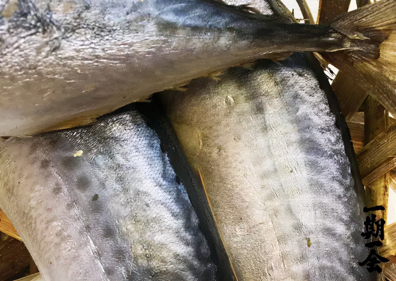潮汕炒鲜鱿鱼_鱿鱼卷怎么炒好吃潮汕美食_潮汕炒鱿鱼做法