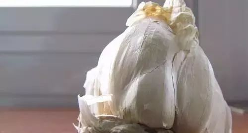 生活小窍门33个_42个生活小窍门大全_生活小窍门100妙招简短