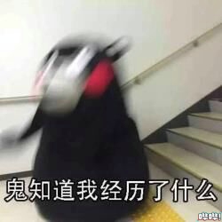 图21.jpg