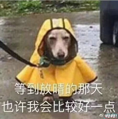 图11.jpg