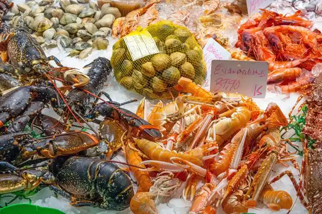 美食宗_美食宗盖_美食宗凯