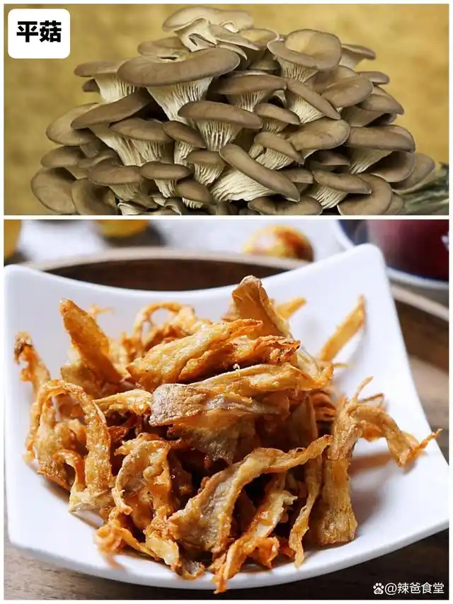 湖南菜家常菜_湖南菜谱家常菜做法窍门_湖南日常家庭菜