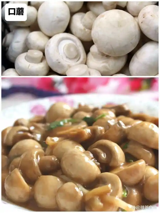 湖南菜家常菜_湖南菜谱家常菜做法窍门_湖南日常家庭菜
