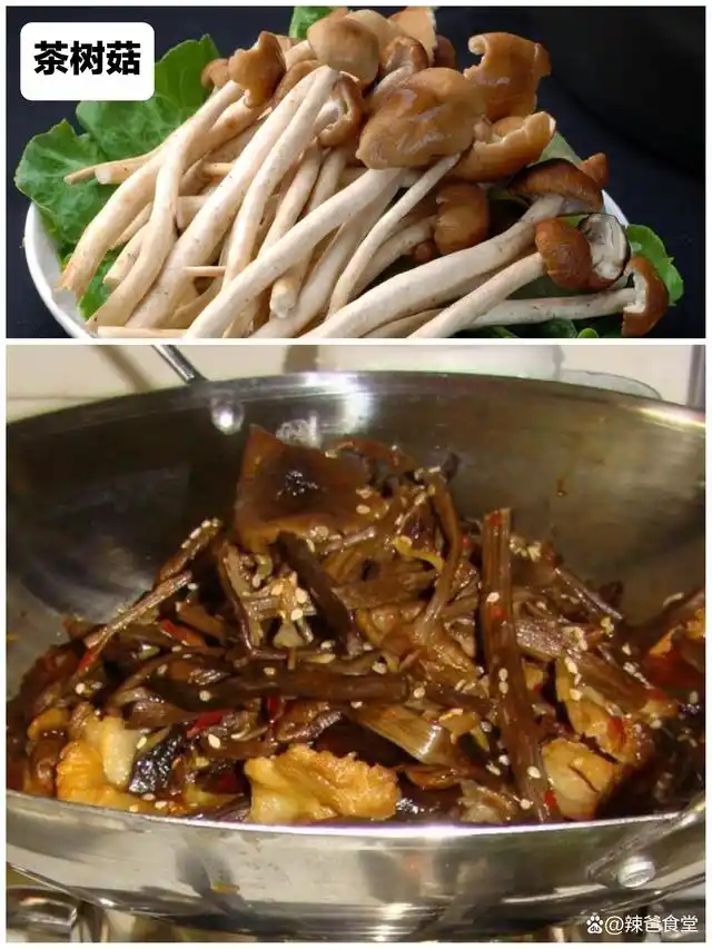 湖南日常家庭菜_湖南菜谱家常菜做法窍门_湖南菜家常菜