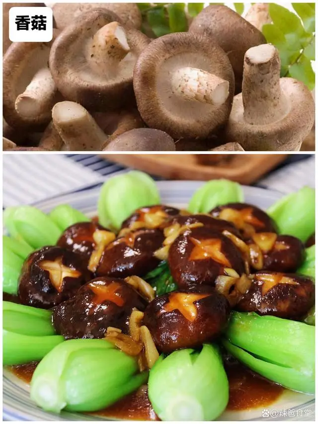 湖南菜家常菜_湖南日常家庭菜_湖南菜谱家常菜做法窍门
