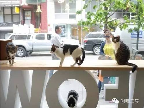 咖啡馆可爱图片卡通_咖啡馆图片可爱_咖啡馆可爱图片高清