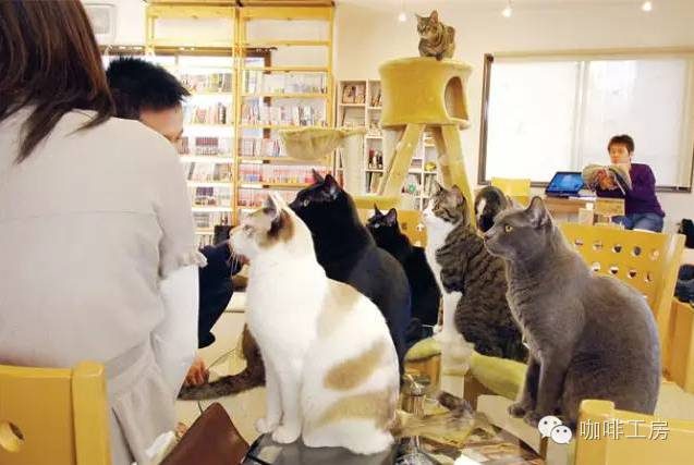 咖啡馆可爱图片高清_咖啡馆图片可爱_咖啡馆可爱图片卡通