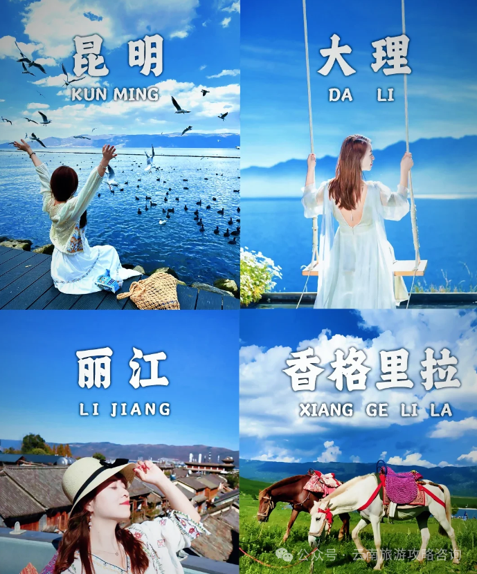 酸奶美食做法大全_酸奶美食潮汕做法_潮汕美食酸奶