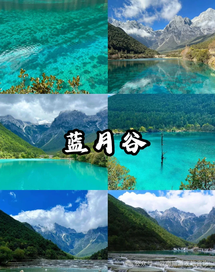 酸奶美食做法大全_酸奶美食潮汕做法_潮汕美食酸奶